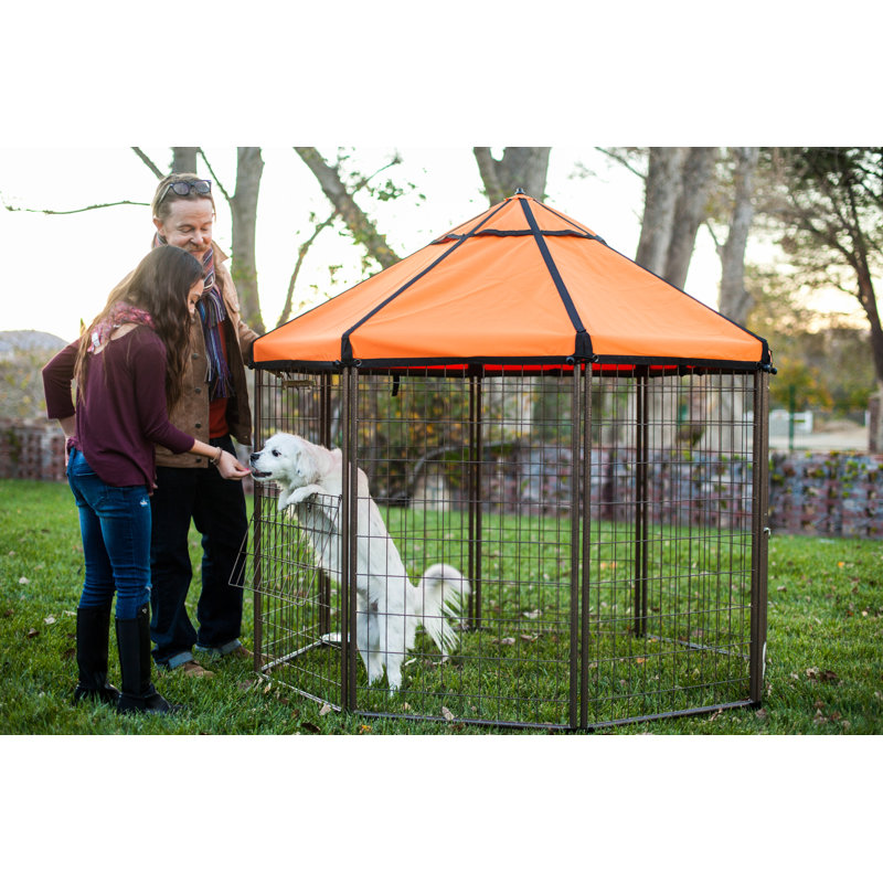 Pet Gazebo Dog Kennel Play Pen with Market Top Canopy 36 H Blue